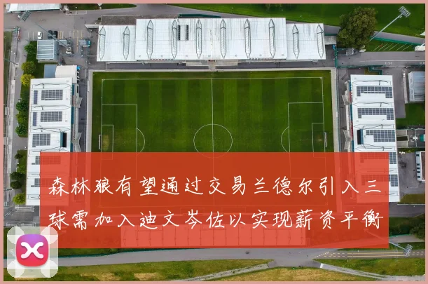 森林狼有望通过交易兰德尔引入三球需加入迪文岑佐以实现薪资平衡